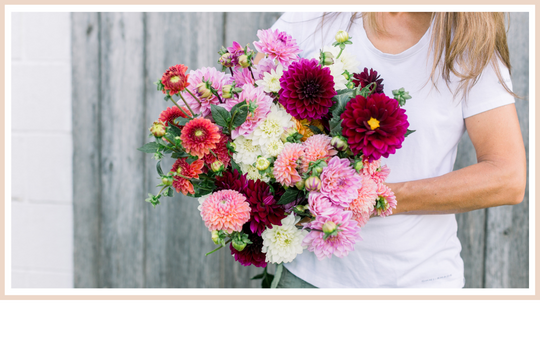 Sympathy Flowers – shopflourishflowers