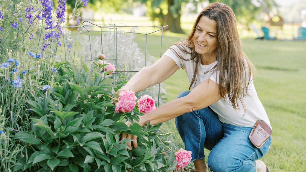 Backyard cutting garden by Trish Snyder Author